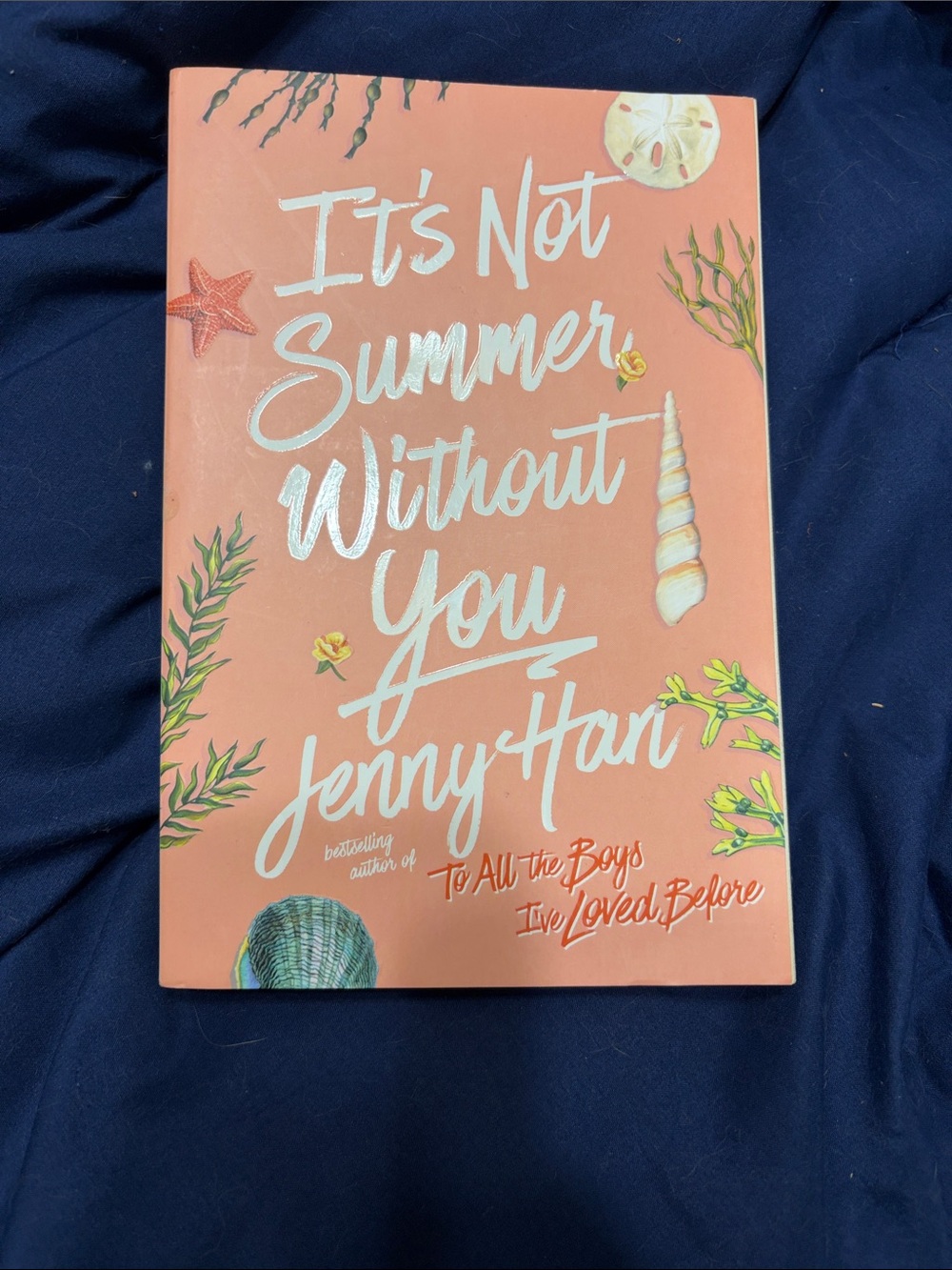 It’s not summer without you - Jenny Han